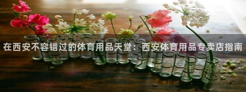 欧陆娱乐注册链接怎么弄出来：在西安不容错过的体育用品
