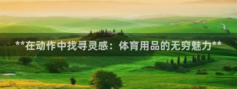 欧陆娱乐平台登录不上去了：**在动作中找寻灵感：体育