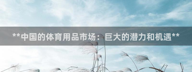 欧陆娱乐官网下载安装手机版：**中国的体育用品市场：