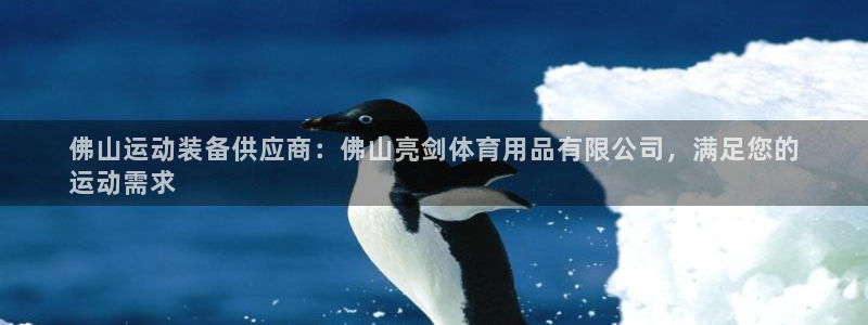 欧陆娱乐登录官网下载：佛山运动装备供应商：佛山亮剑体