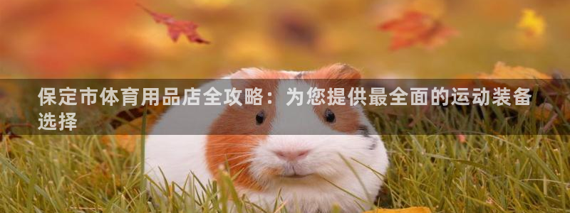 欧陆娱乐怎么注册会员：保定市体育用品店全攻略：为您提