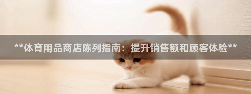 欧陆娱乐计划预测软件哪个好：**体育用品商店陈列指南