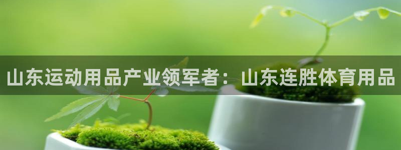 欧陆娱乐平台官网入口：山东运动用品产业领军者：山东连