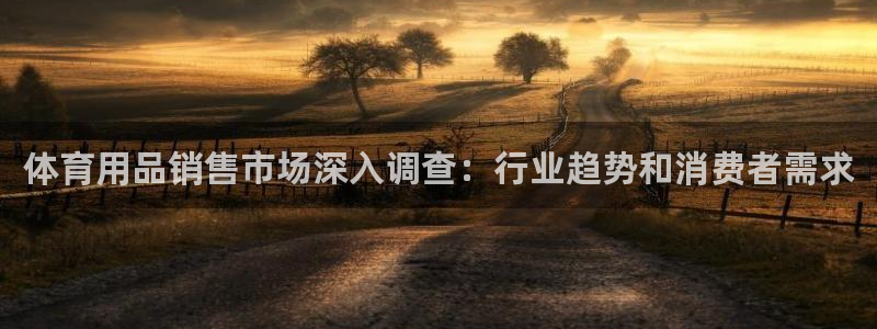 欧陆娱乐代理 贴吧：体育用品销售市场深入调查：行业趋