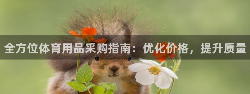 欧陆娱乐怎么注册会员账号：全方位体育用品采购指南：优