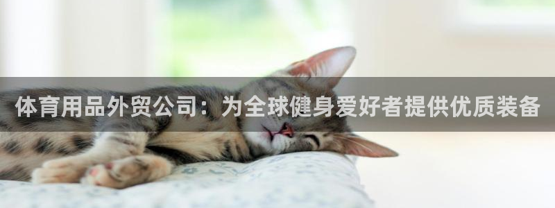 欧陆娱乐客服服务怎么样：体育用品外贸公司：为全球健身
