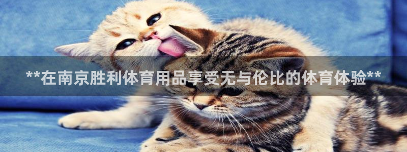 欧陆娱乐突然登录不了了：**在南京胜利体育用品享受无