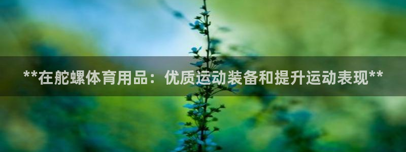 欧陆娱乐平台咋样赚钱：**在舵螺体育用品：优质运动装
