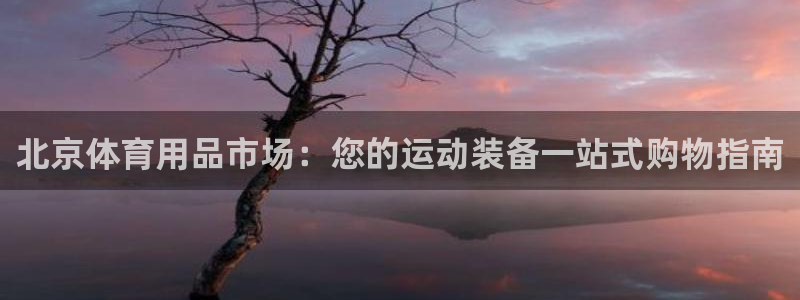 欧陆娱乐平台登录不上去怎么回事：北京体育用品市场：您