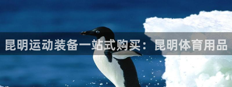 欧陆娱乐是什么：昆明运动装备一站式购买：昆明体育用品