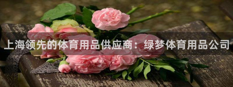 欧陆娱乐游戏：上海领先的体育用品供应商：绿梦体育用品