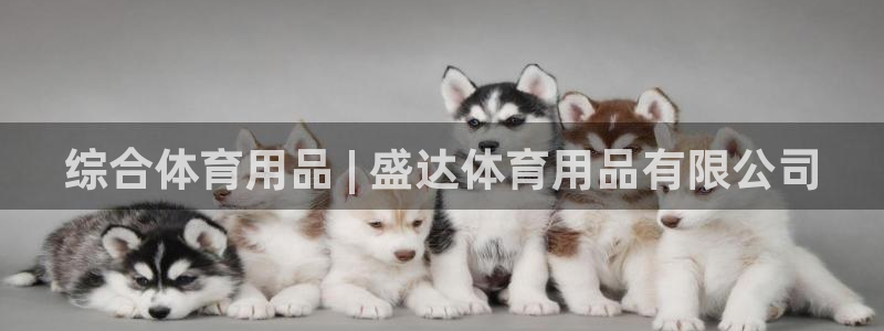 欧陆娱乐线路测速：综合体育用品 | 盛达体育用品有限