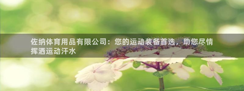 欧陆娱乐登录注册平台下载：佐纳体育用品有限公司：您的