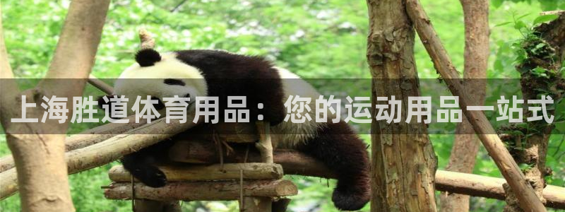 欧陆娱乐登陆官网入口：上海胜道体育用品：您的运动用品