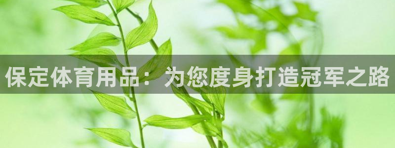 欧陆娱乐总代：保定体育用品：为您度身打造冠军之路