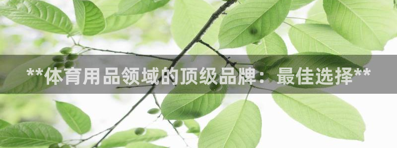 欧陆娱乐测速：**体育用品领域的顶级品牌：最佳选择*