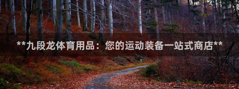 欧陆娱乐平台登录不上怎么办：**九段龙体育用品：您的