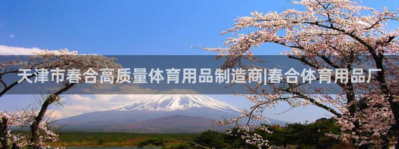 欧陆娱乐信誉如何：天津市春合高质量体育用品制造商|春