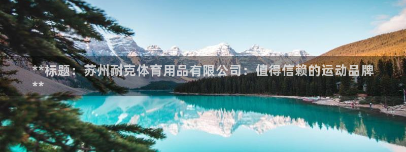 欧陆娱乐能提现嘛现在：**标题：苏州耐克体育用品有限