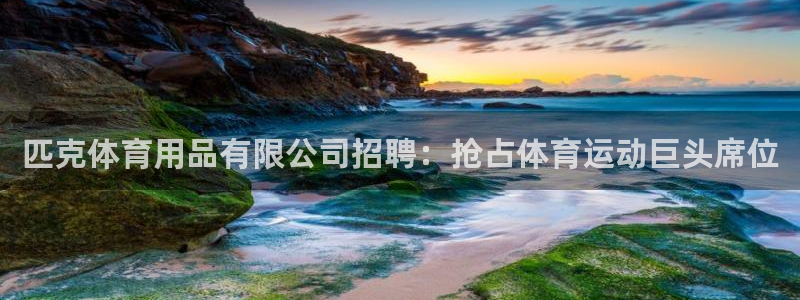 欧陆娱乐登录测速怎么关闭：匹克体育用品有限公司招聘：