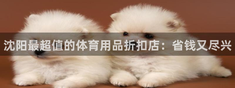 欧陆娱乐可以退钱：沈阳最超值的体育用品折扣店：省钱又