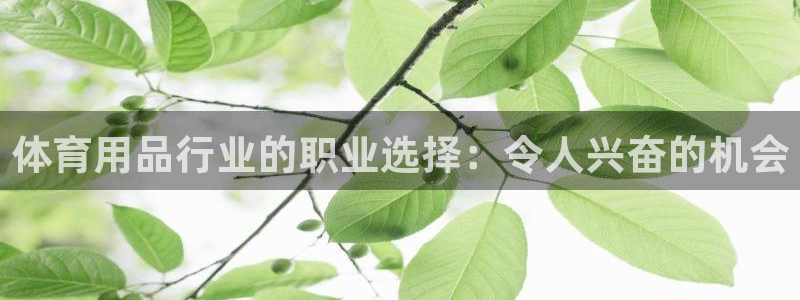 欧陆娱乐不让提现吗：体育用品行业的职业选择：令人兴奋