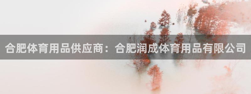 欧陆娱乐平台登录不上去怎么办：合肥体育用品供应商：合