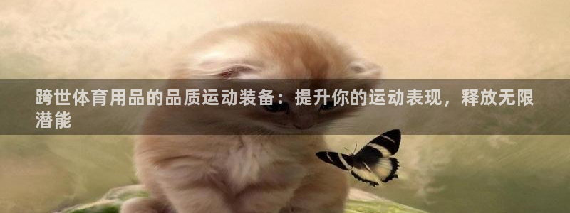欧陆娱乐平台登陆地址是什么样的：跨世体育用品的品质运