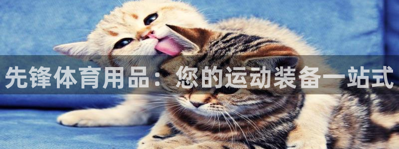欧陆娱乐平台登陆地址：先锋体育用品：您的运动装备一站