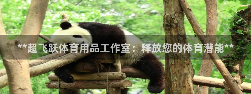 欧陆商城：**超飞跃体育用品工作室：释放您的体育潜能
