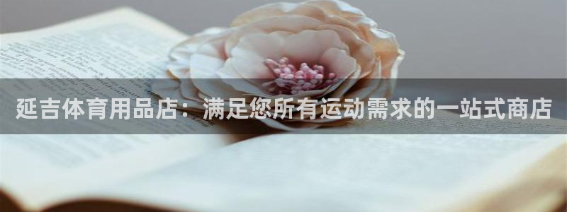欧陆娱乐客服：延吉体育用品店：满足您所有运动需求的一