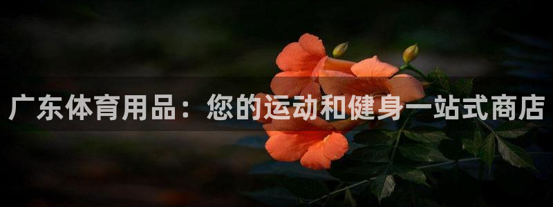 欧陆娱乐登录测速网站