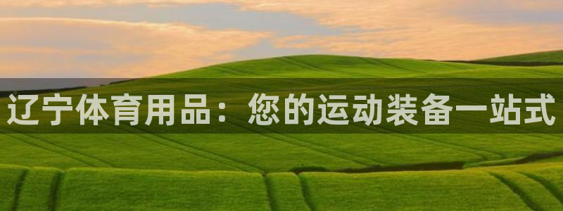 欧陆娱乐平台优势：辽宁体育用品：您的运动装备一站式