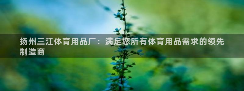 欧陆娱乐官网首页网址：扬州三江体育用品厂：满足您所有