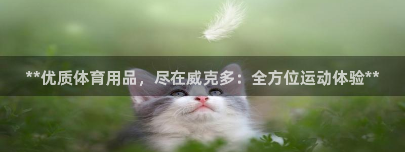 欧陆娱乐平台咋样啊知乎：**优质体育用品，尽在威克多