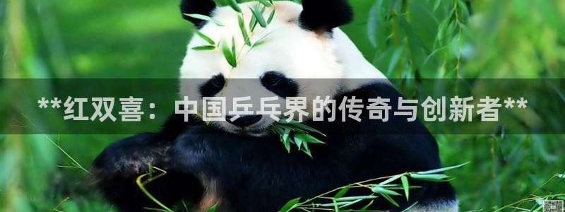 欧陆娱乐微信众：**红双喜：中国乒乓界的传奇与创新者