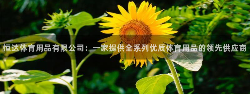 欧陆娱乐百科官网：恒达体育用品有限公司：一家提供全系