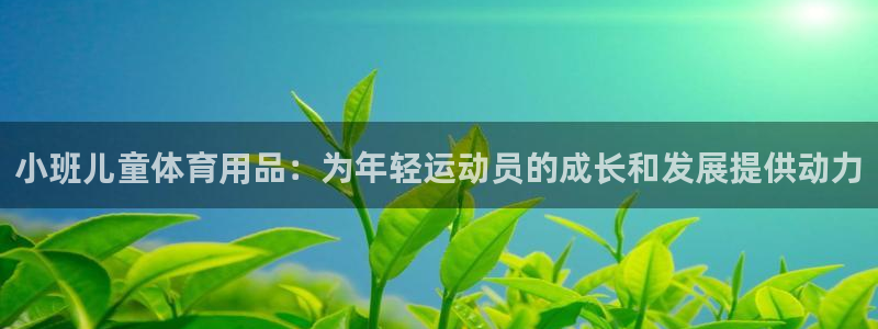 欧陆娱乐总代理电话：小班儿童体育用品：为年轻运动员的