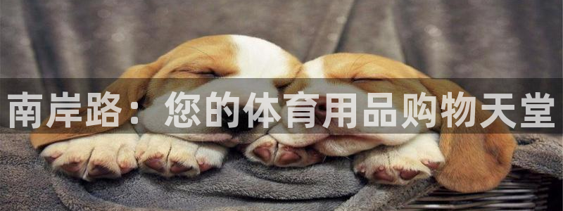 欧陆娱乐会员有什么用：南岸路：您的体育用品购物天堂