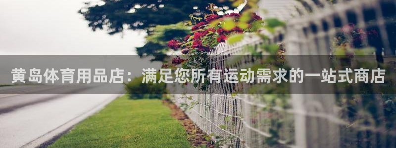 欧陆娱乐登录测速：黄岛体育用品店：满足您所有运动需求