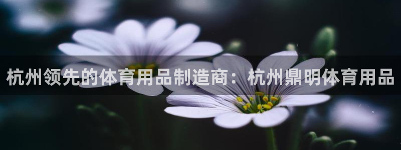 欧陆娱乐打什么方案：杭州领先的体育用品制造商：杭州鼎