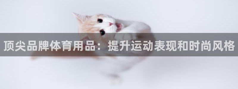 欧陆娱乐百科大全：顶尖品牌体育用品：提升运动表现和时