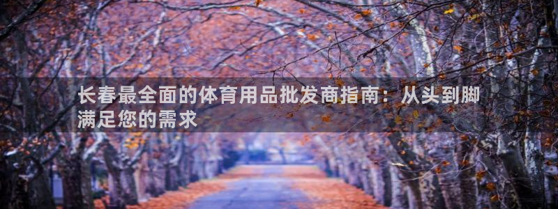 欧陆娱乐的故事：长春最全面的体育用品批发商指南：从头