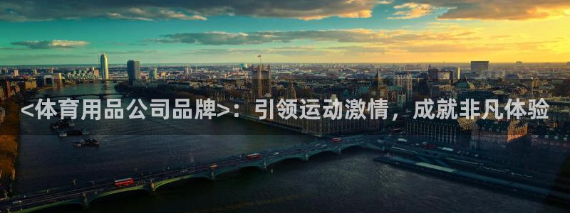 欧陆娱乐怎么注册帐号登录：<体育用品公司品牌>：引领