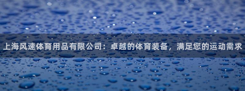 欧陆娱乐代理多少个点位合适：上海风速体育用品有限公司