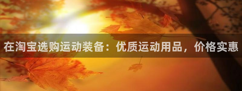 欧陆娱乐app打不开怎么回事：在淘宝选购运动装备：优