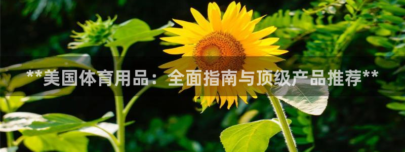 欧陆娱乐登录测速软件：**美国体育用品：全面指南与顶