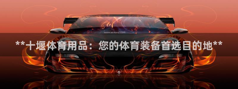 欧陆娱乐官网下载安装最新版：**十堰体育用品：您的体
