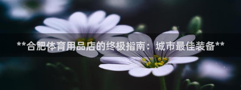 欧陆娱乐是正规平台吗安全吗可靠吗知乎：**合肥体育用