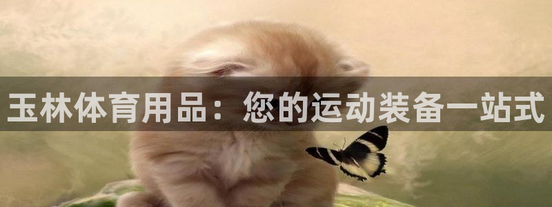 欧陆娱乐突然登录不了了：玉林体育用品：您的运动装备一